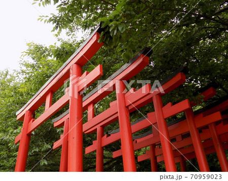 鳥居　Torii gate 70959023