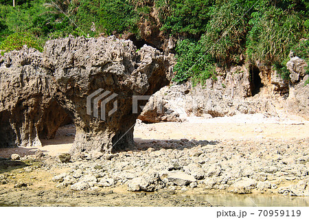 沖縄 大度海岸 ノッチ 沖縄 大度海岸 ノッチ 70959119