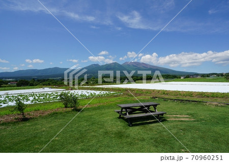 御代田町から見た新緑の浅間山とキャベツ畑 70960251