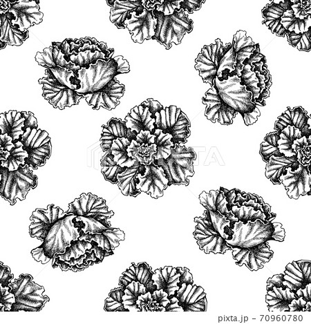 Seamless pattern with black and white decorative cabbage Seamless pattern with black and white decorative cabbage 70960780