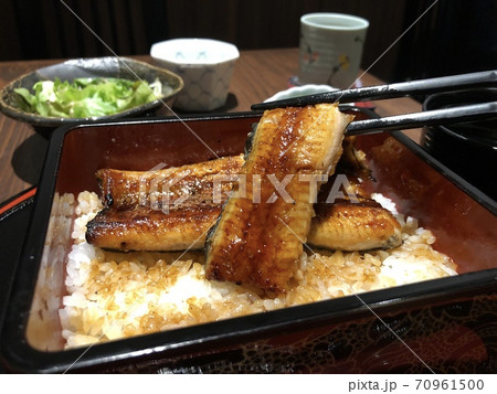 "Unaju" - grilled eel. Traditional Japanese food. Selective focus. Vignette applied. "Unaju" - grilled eel. Traditional Japanese food. Selective focus. Vignette applied. 70961500