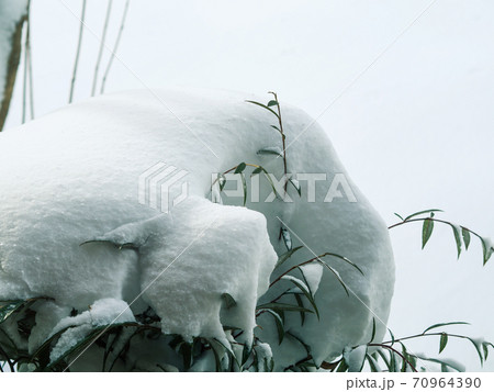 Winter tree branches covered with snow, background 70964390
