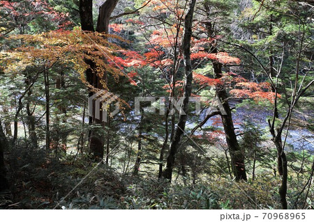 上高地の紅葉 70968965