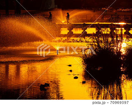 打上川治水緑地の夕景 70969397