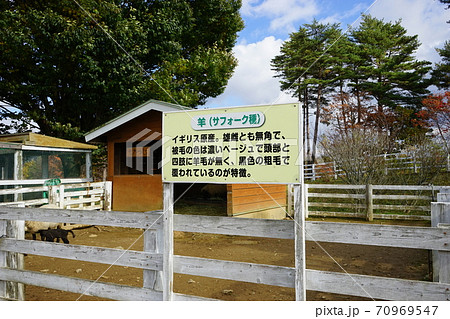 くずまき高原牧場 70969547