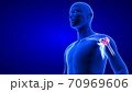 Shoulders Pain close-up illustration. Blue Human Anatomy Body 3D Scan render on blue background 70969606