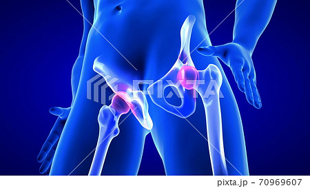 Hip Pain close-up illustration. Blue Human Anatomy Body 3D Scan render on blue background 70969607