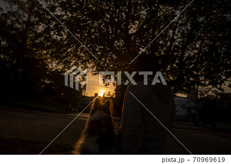 夕陽の中 愛犬と寄り添う 夕陽の中 愛犬と寄り添う 70969619
