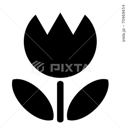 チューリップ 70969654