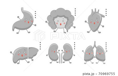 レバー 肝 きも 70969755