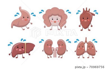 レバー 肝 きも 70969756