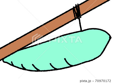 サナギになったイモムシ（青緑色） 70970172