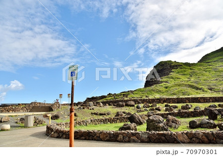 ハワイの休日 70970301