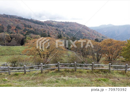 栃木県横根高原の紅葉 栃木県横根高原の紅葉 70970392