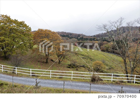 栃木県横根高原の紅葉 栃木県横根高原の紅葉 70970400