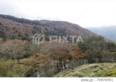 栃木県横根高原の紅葉 栃木県横根高原の紅葉 70970401