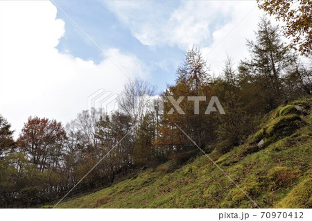 栃木県横根高原の紅葉 栃木県横根高原の紅葉 70970412
