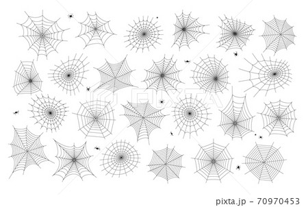 Spider web concept 70970453