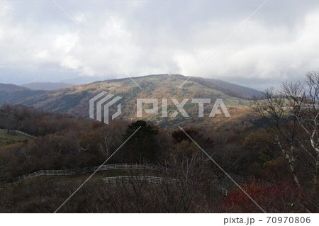 秋の横根高原（方塞山の紅葉） 70970806