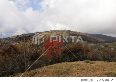 秋の横根高原(方塞山の紅葉) 秋の横根高原(方塞山の紅葉) 70970812