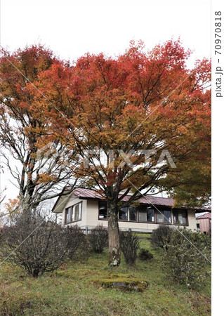 栃木県横根高原の紅葉 栃木県横根高原の紅葉 70970818