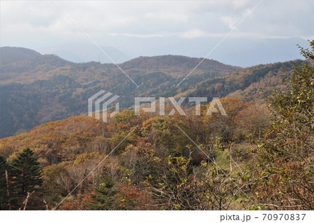 栃木県横根高原の紅葉 栃木県横根高原の紅葉 70970837