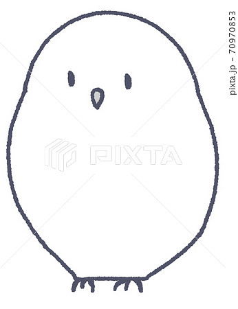 シロフクロウ（灰色） 70970853