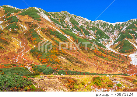富山県 紅葉最盛期の室堂 立山黒部アルペンルートの写真素材 富山県 紅葉最盛期の室堂 立山黒部アルペンルートの写真素材