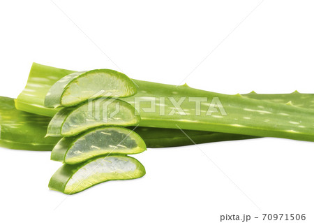 Aloe Vera sliced isolated on white background. Aloe Vera sliced isolated on white background. 70971506