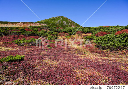 白山の紅葉 白山の紅葉 70972247