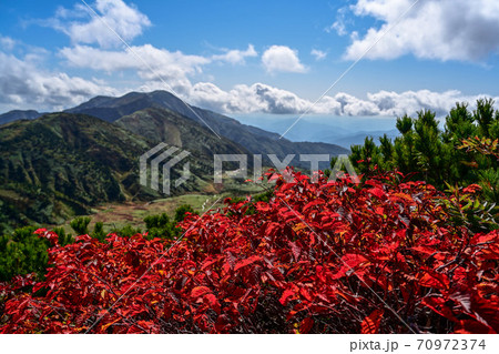 白山の紅葉 70972374