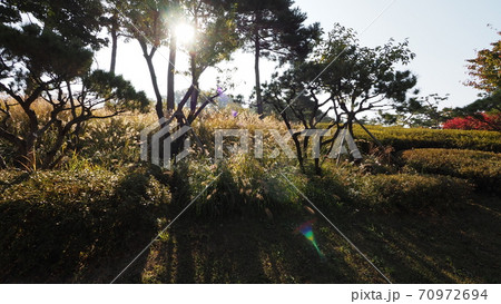 南山公園 南山 秋 70972694