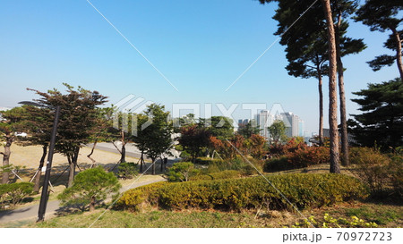 南山公園 南山 秋 70972723