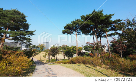 南山公園 南山 秋 70972725