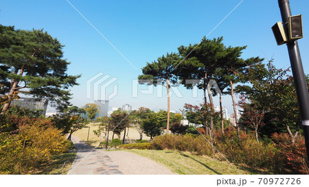 南山公園 南山 秋 70972726