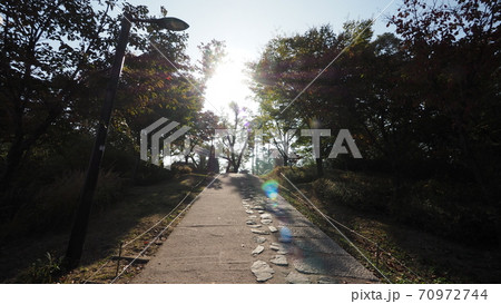 南山公園 南山 秋 70972744