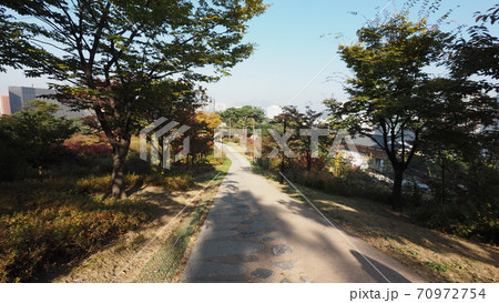 南山公園 南山 秋 70972754