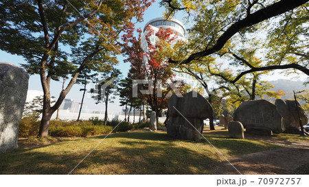 南山公園 南山 秋 70972757