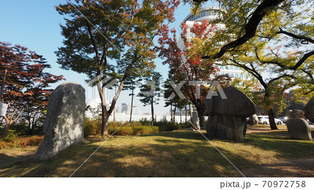 南山公園 南山 秋 70972758