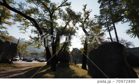 南山公園 南山 秋 70972890