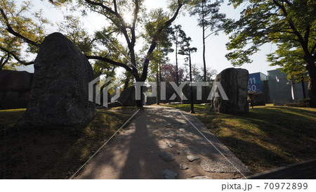 南山公園 南山 秋 70972899