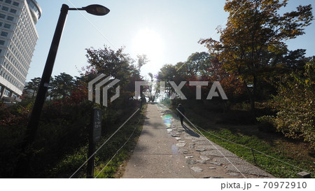 南山公園 南山 秋 70972910