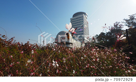 南山公園 南山 秋 70972929