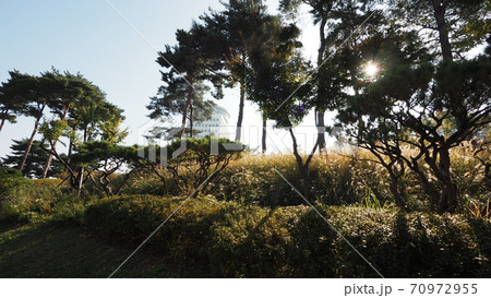 南山公園 南山 秋 70972955