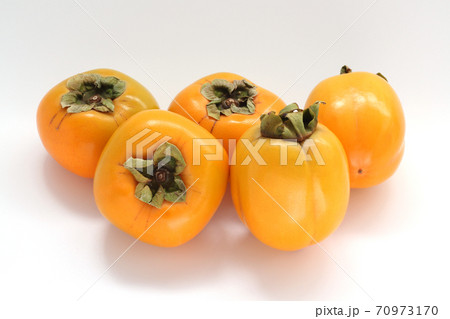 西条柿・刀根柿 70973170