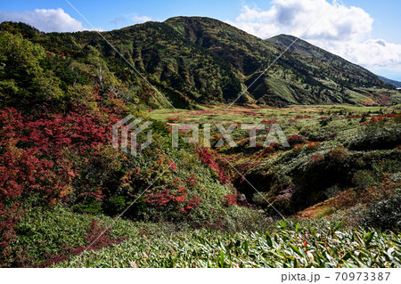 白山の紅葉 70973387