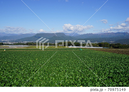 10月　昭和村09谷川岳･三峰山と高原野菜畑 70975149