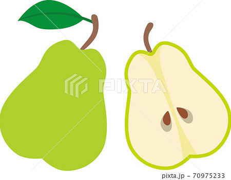 洋梨 カット 洋梨 カット 70975233
