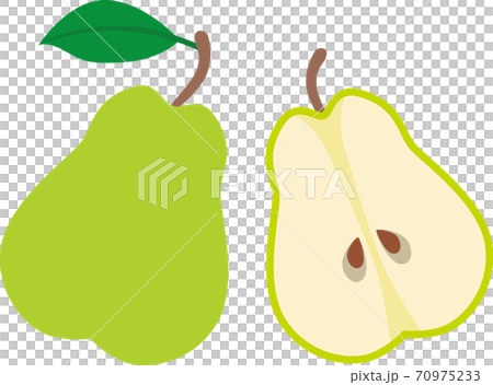 洋梨 カット 洋梨 カット 70975233