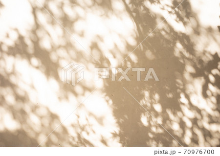 漆喰の壁に映る庭木の影 d-4-4 明るい セピア調 漆喰の壁に映る庭木の影 d-4-4 明るい セピア調 70976700